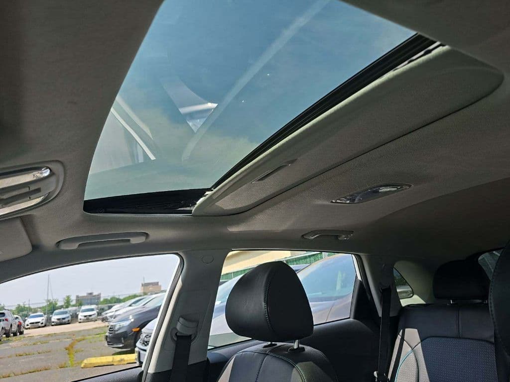 2019 Kia Niro EV view 6