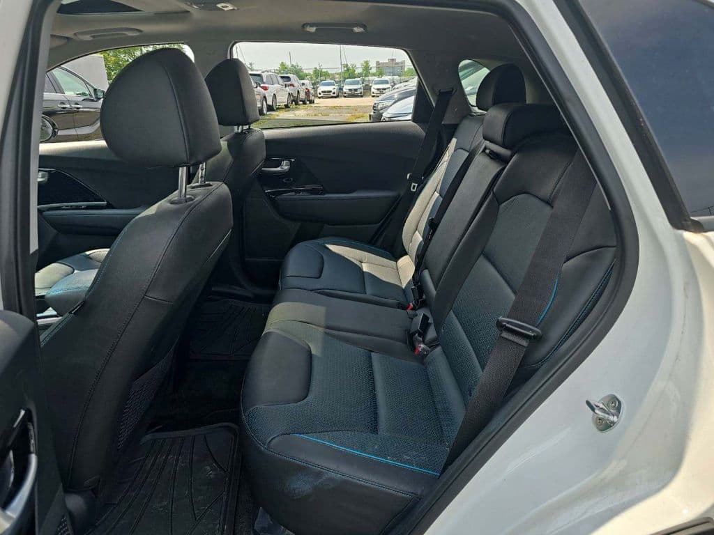 2019 Kia Niro EV view 7