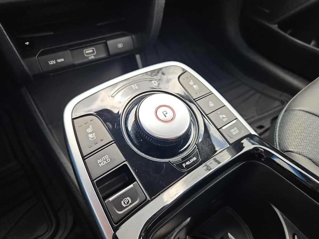 2019 Kia Niro EV view 21