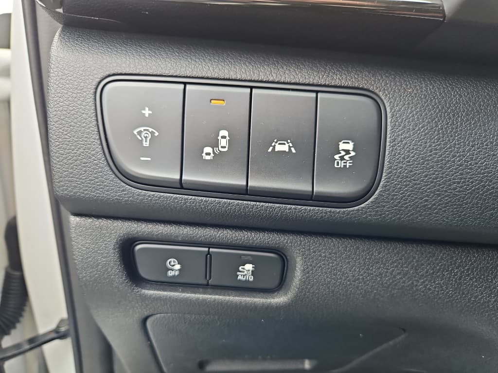 2019 Kia Niro EV view 16