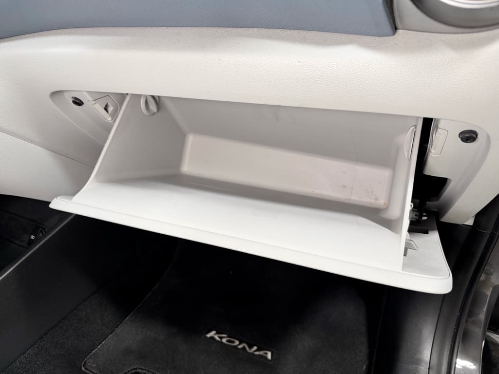 2019 Hyundai Kona EV view 20