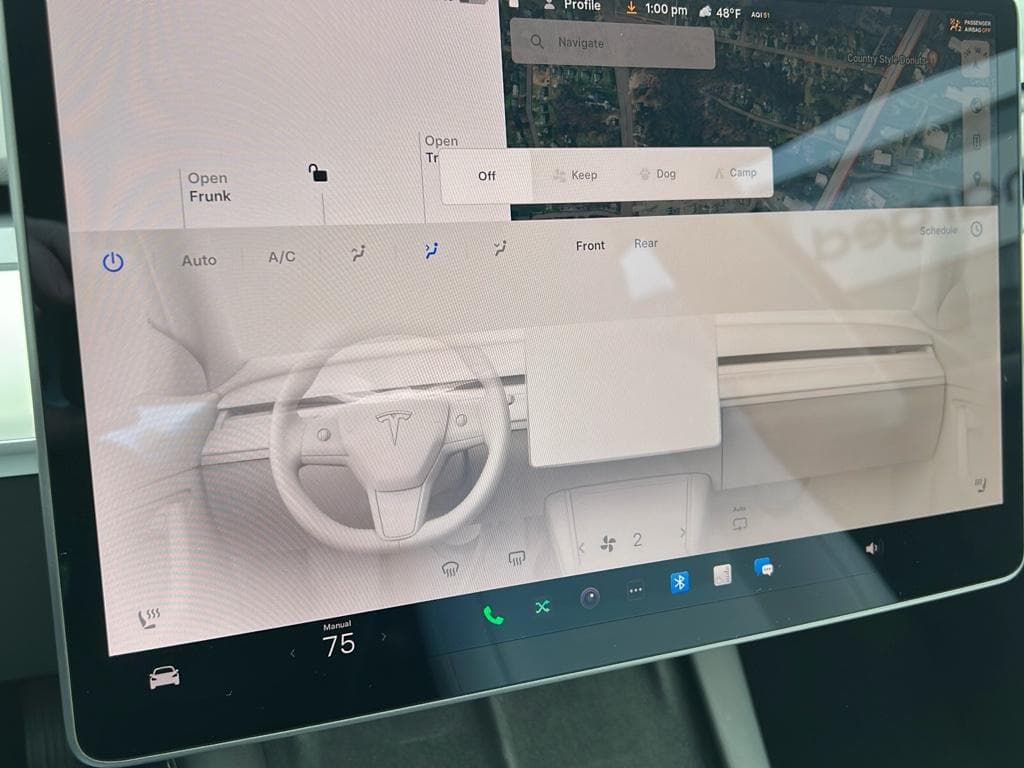 2021 Tesla Model 3 view 12