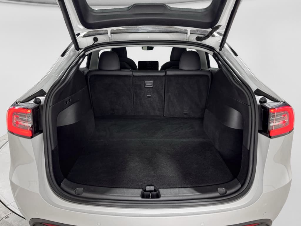 2020 Tesla Model Y view 26
