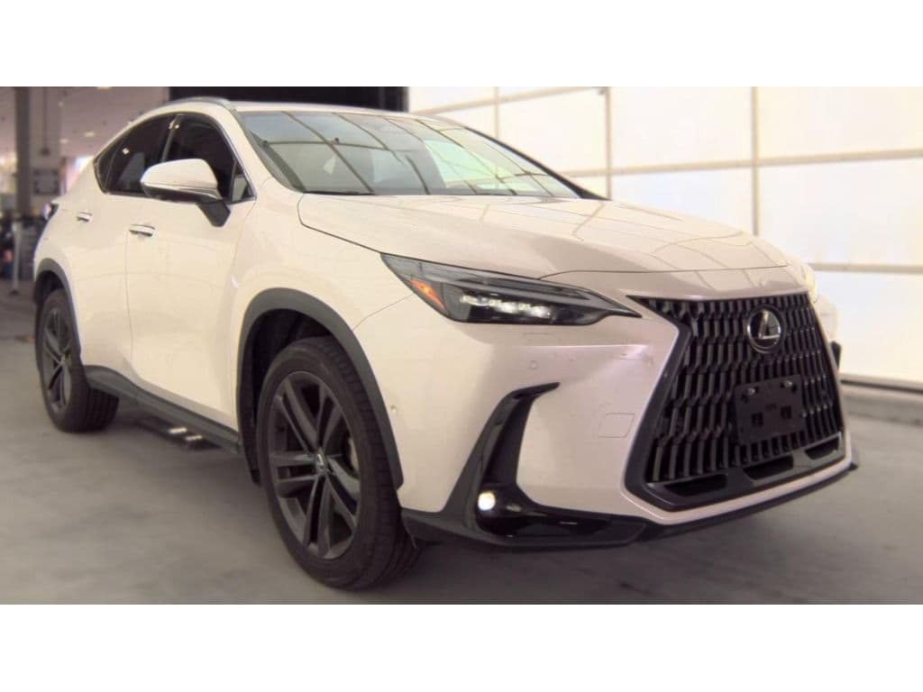 2024 Lexus NX 450h+ view 2