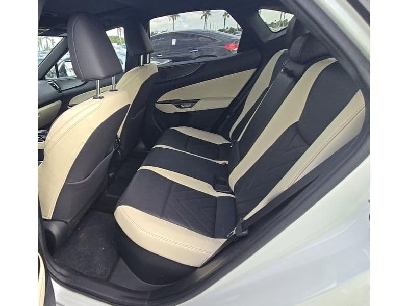 2024 Lexus NX 450h+ view 6