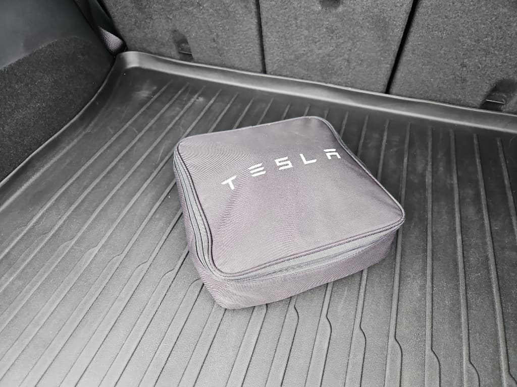 2020 Tesla Model Y view 6