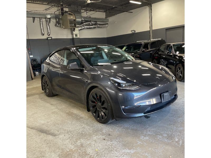2024 Tesla Model Y view 4