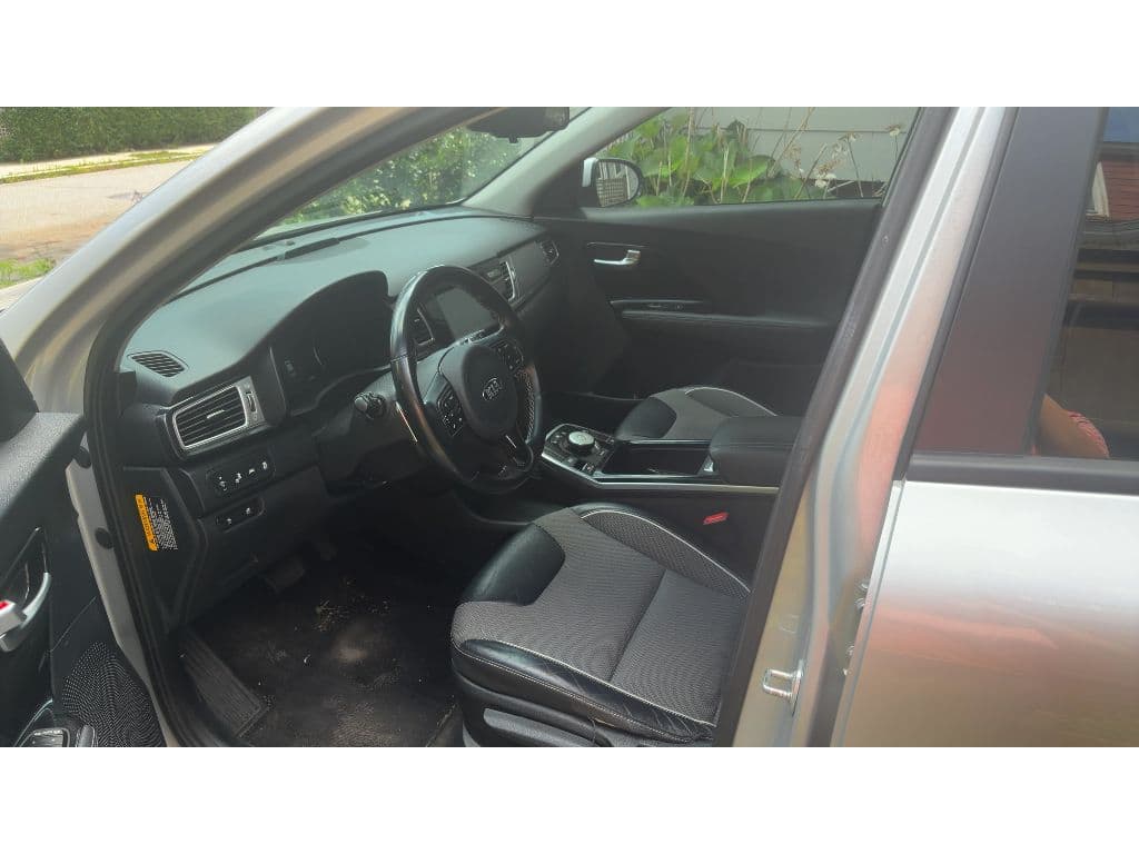 2019 Kia Niro EV view 5