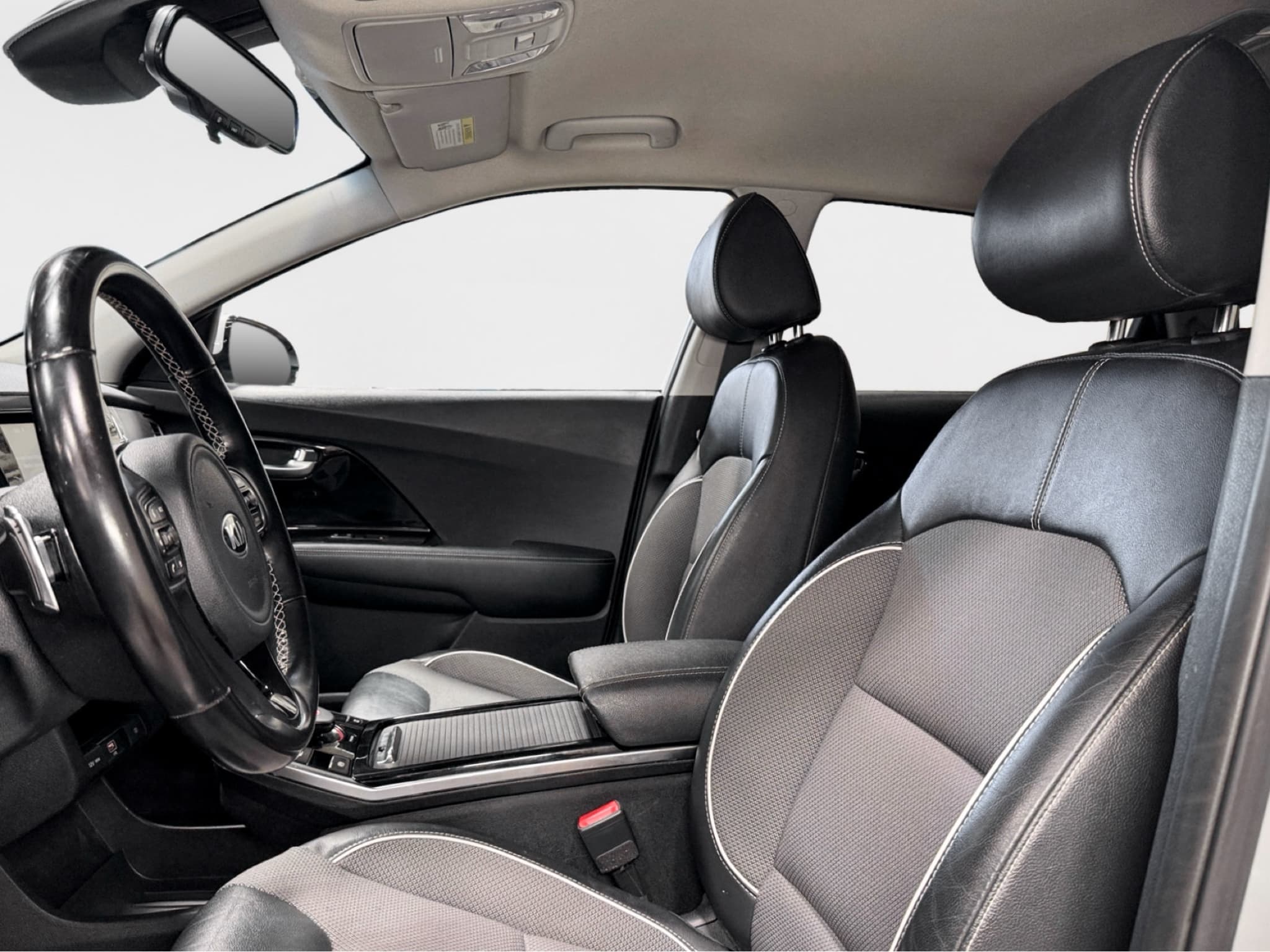 2019 Kia Niro EV view 16