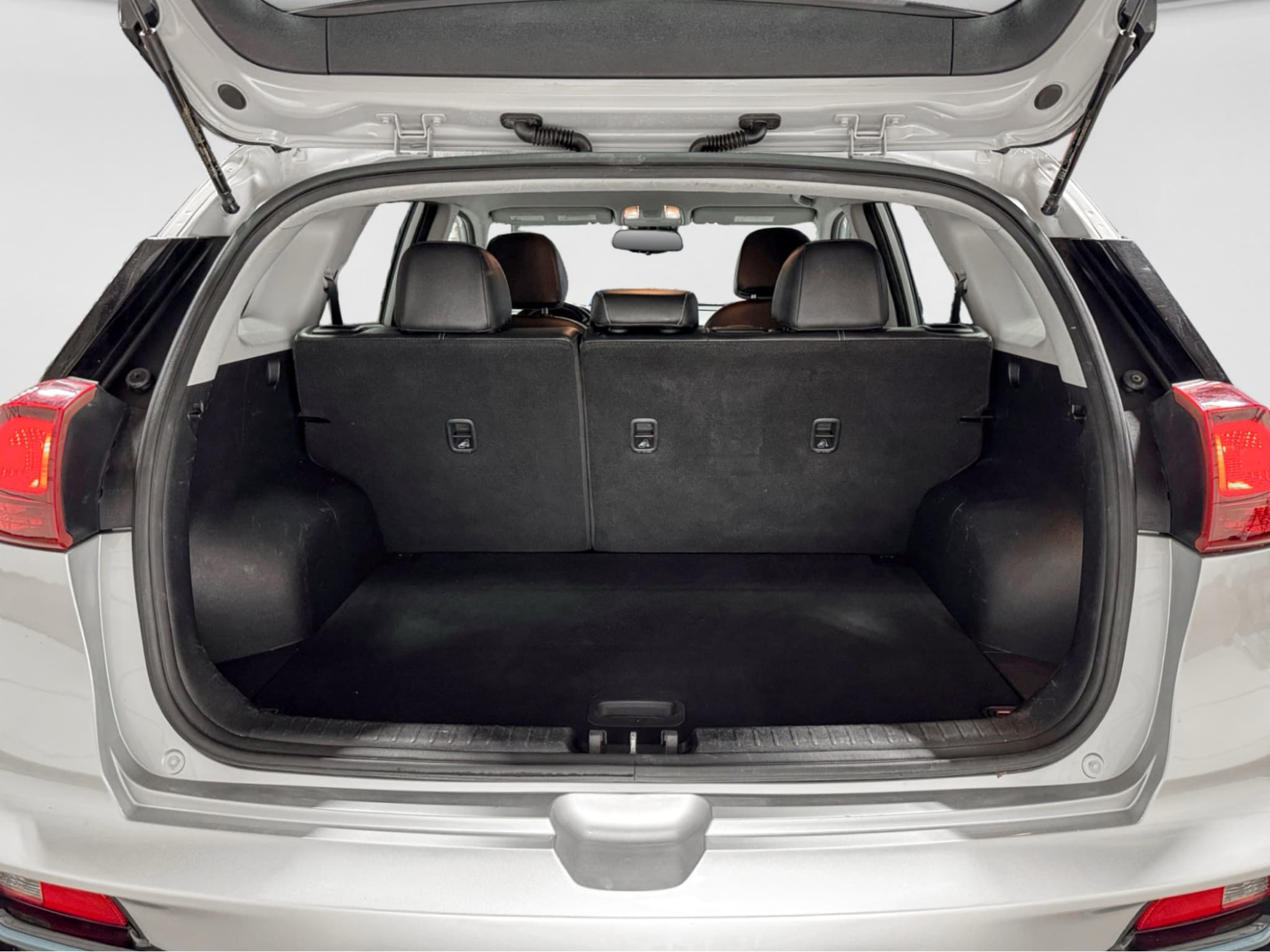 2019 Kia Niro EV view 24