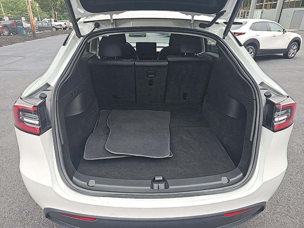 2020 Tesla Model Y view 5