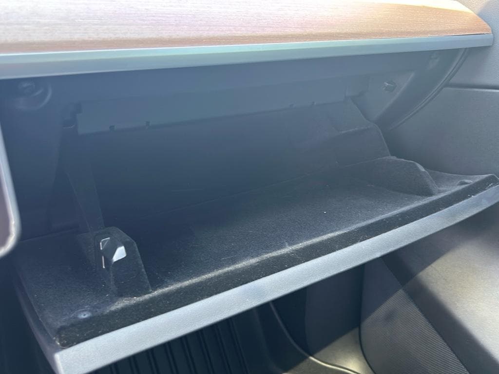 2020 Tesla Model Y view 14