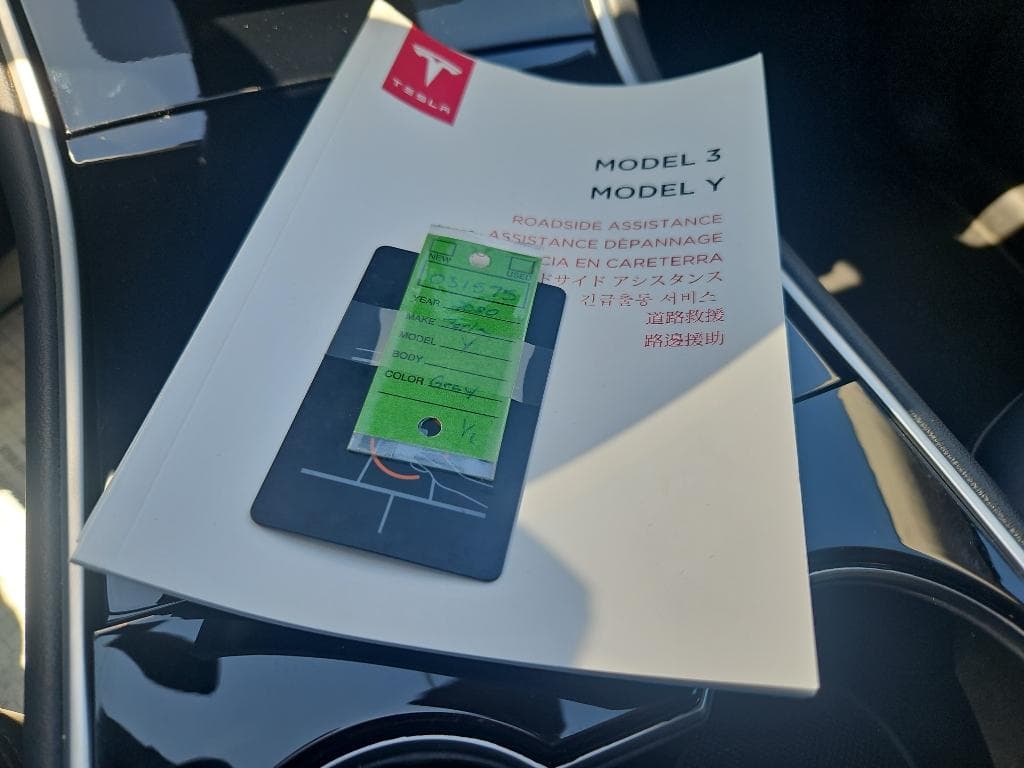 2020 Tesla Model Y view 16