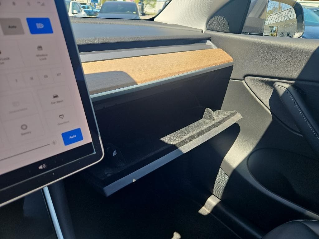 2020 Tesla Model Y view 15