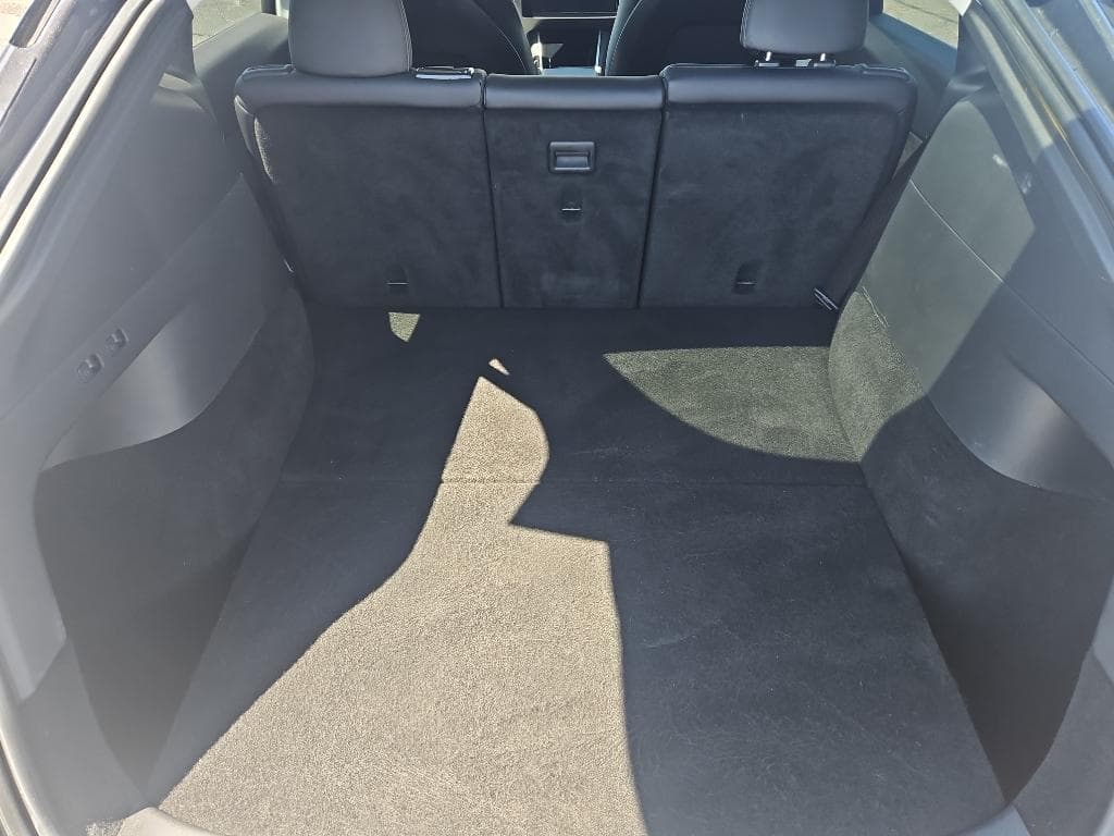 2020 Tesla Model Y view 19