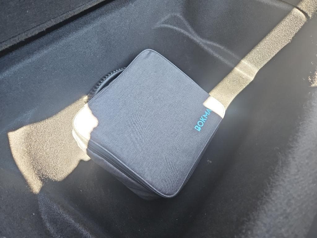 2020 Tesla Model Y view 6