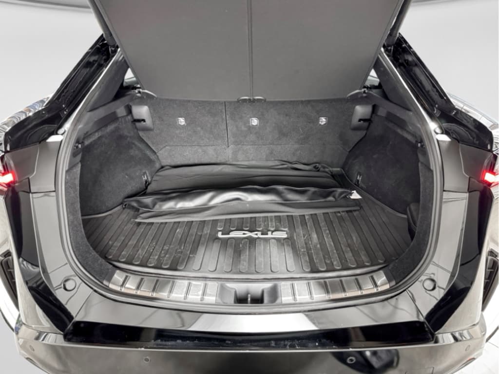 2025 Lexus RZ 450e view 23