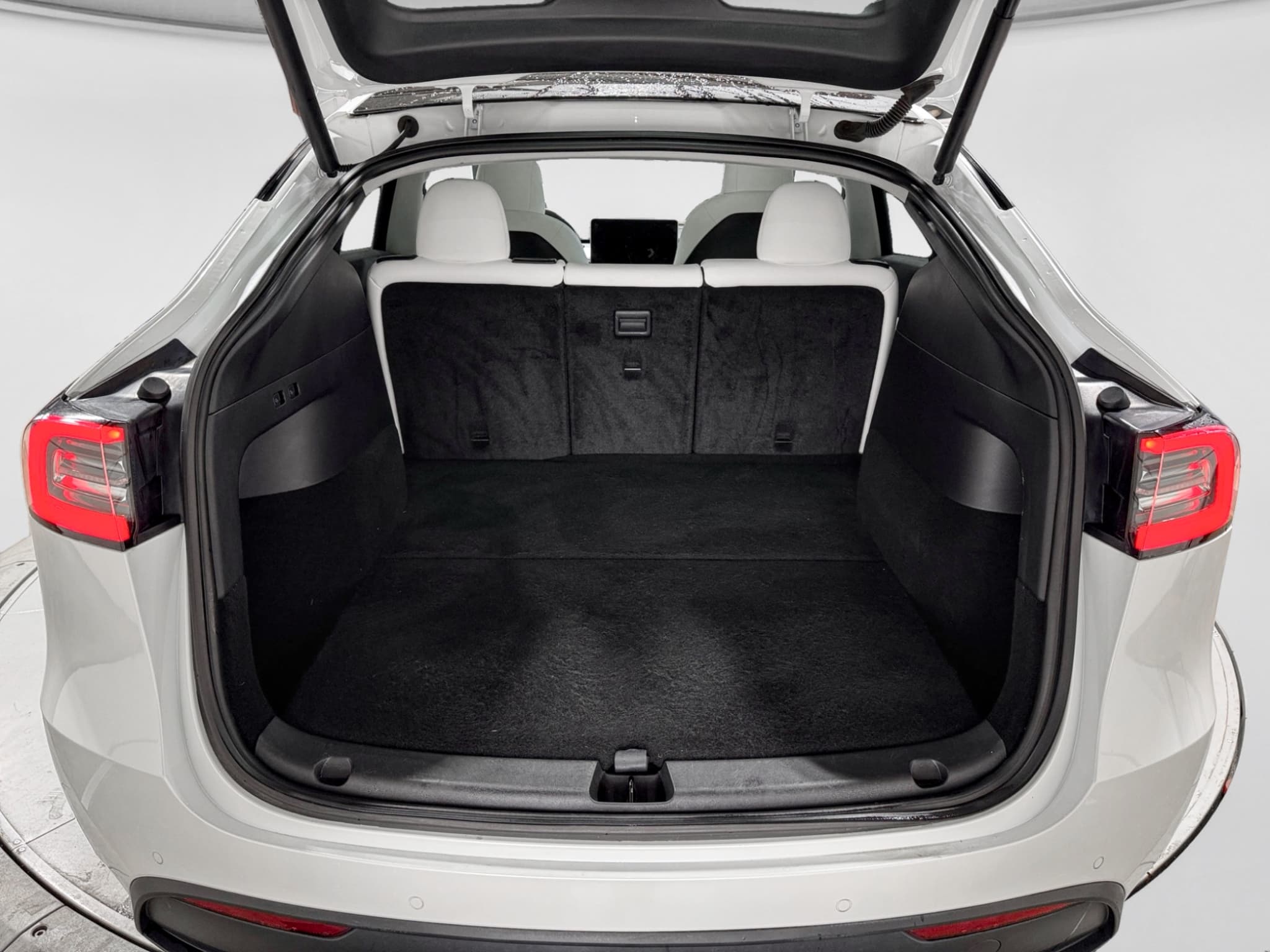 2020 Tesla Model Y view 27