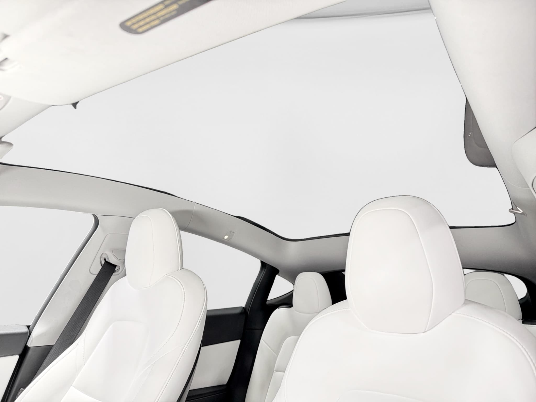 2020 Tesla Model Y view 24