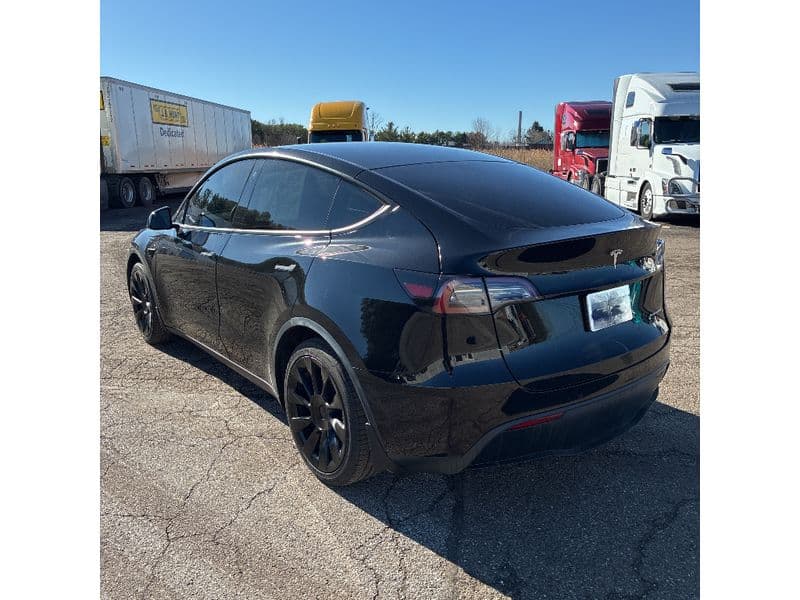 2020 Tesla Model Y view 4