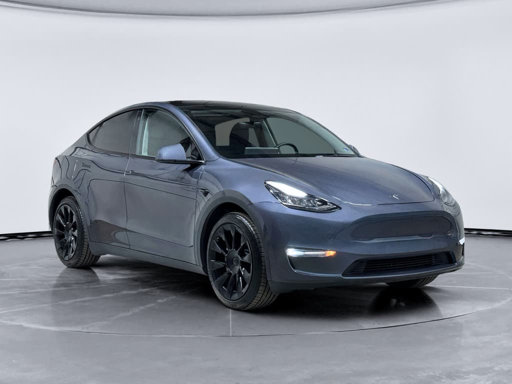 2023 Tesla Model Y view 4