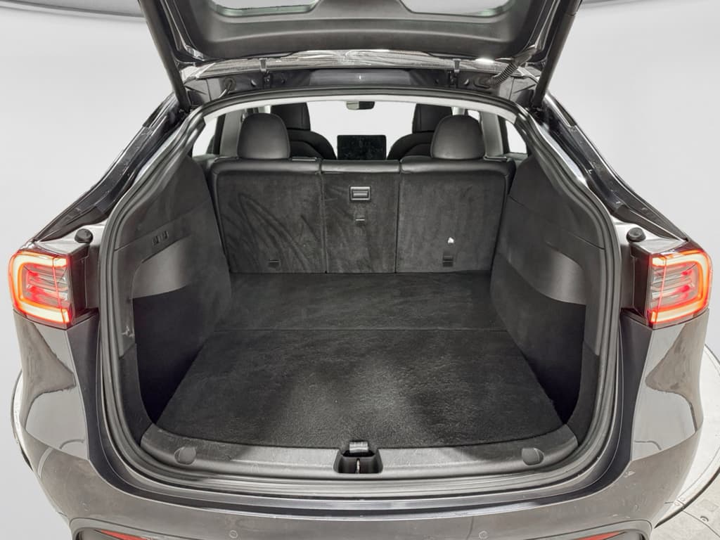 2020 Tesla Model Y view 25