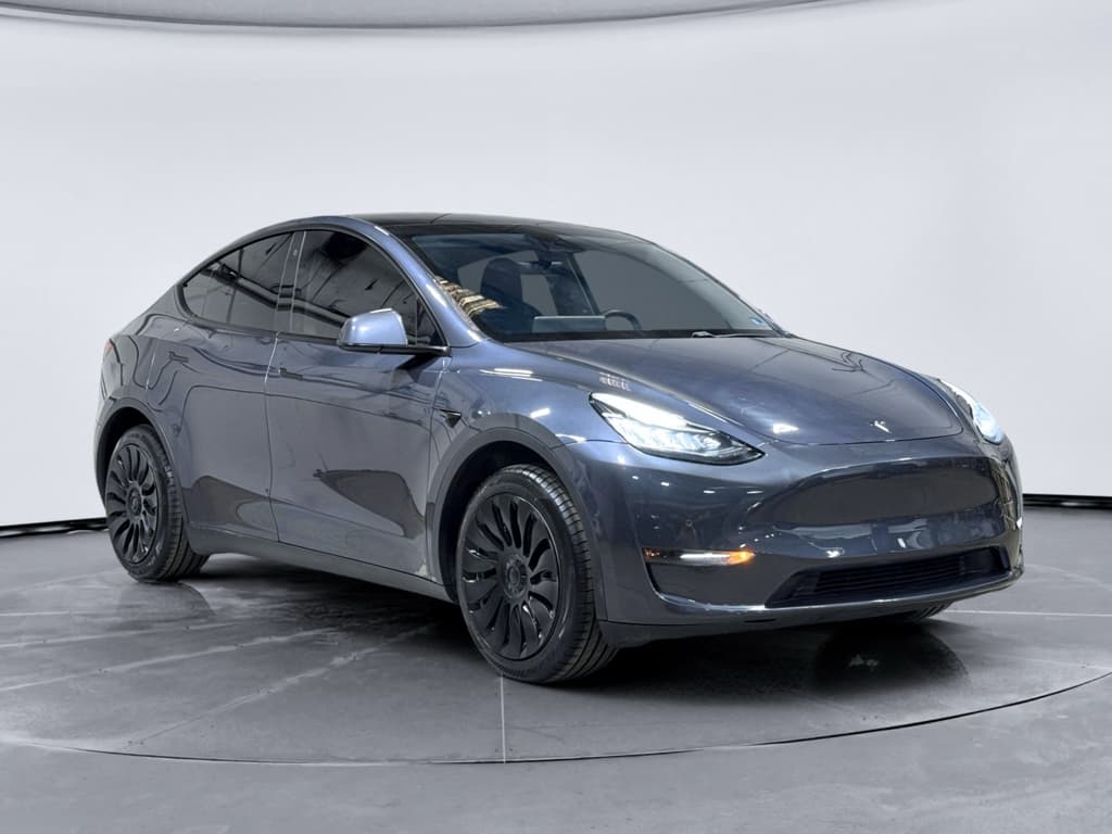 2020 Tesla Model Y view 4