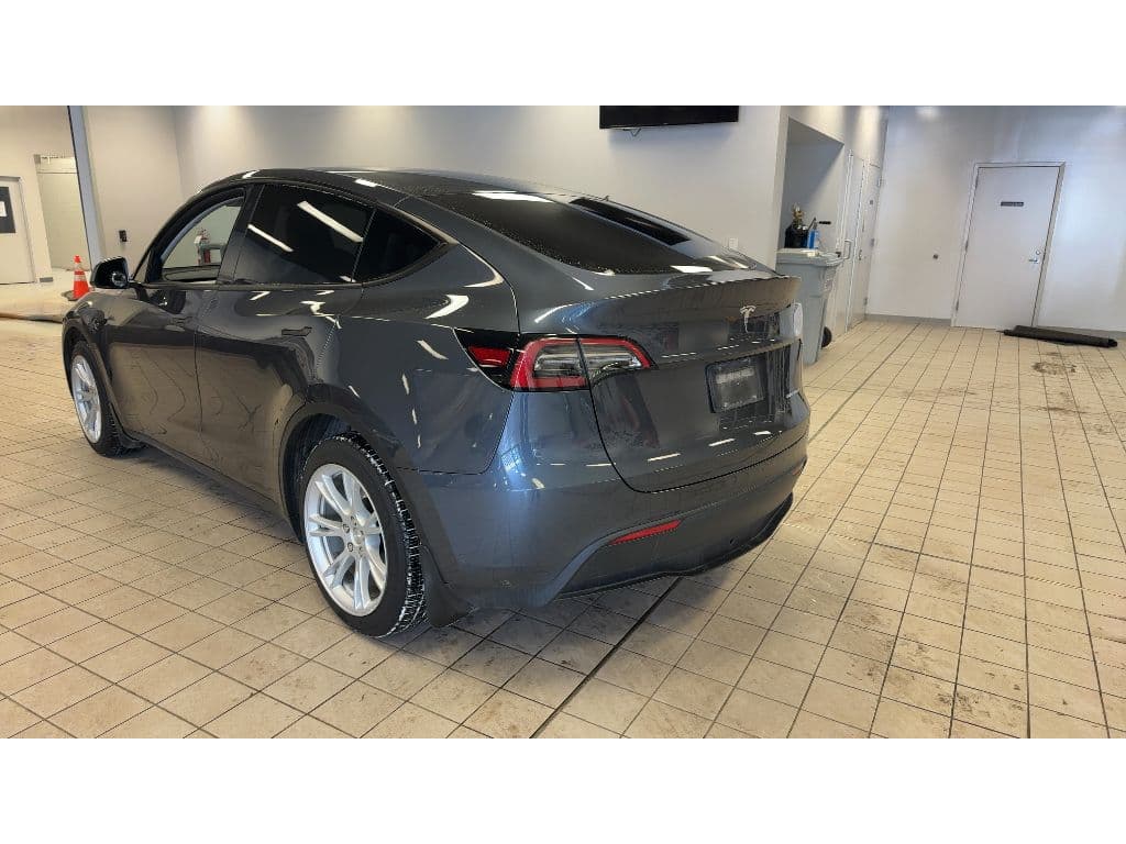 2023 Tesla Model Y view 4