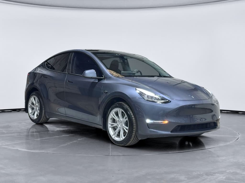 2023 Tesla Model Y view 4