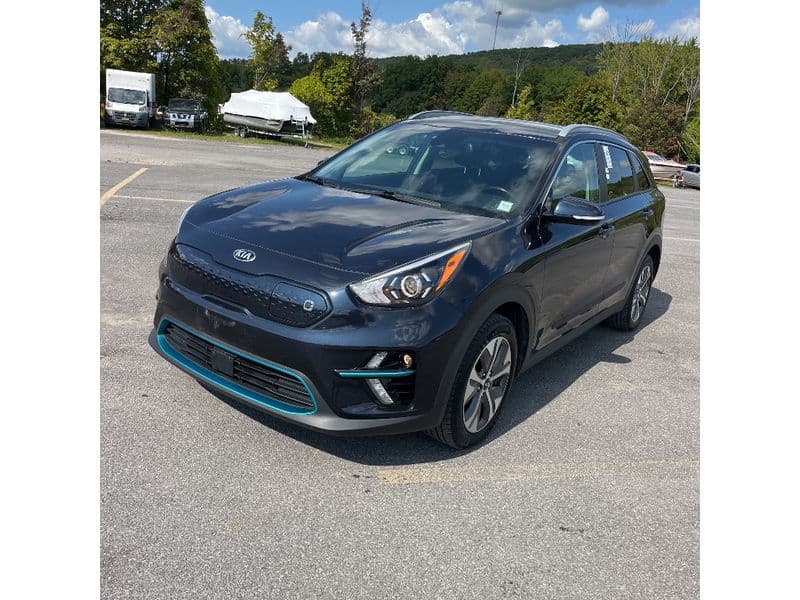 2020 Kia Niro EV view 1