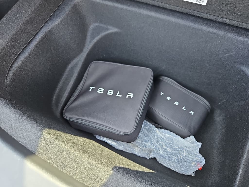 2020 Tesla Model Y view 6