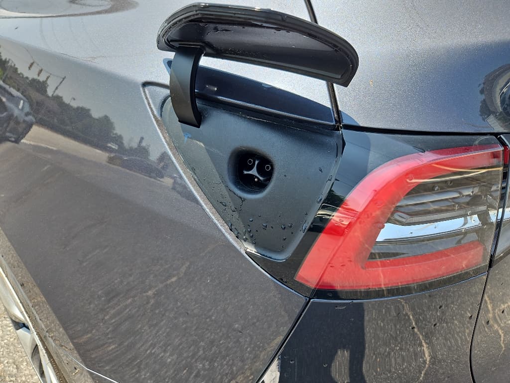 2020 Tesla Model Y view 5