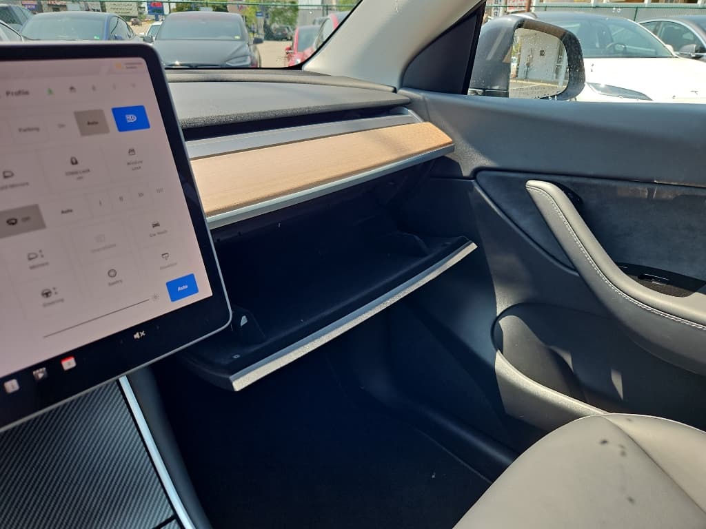 2020 Tesla Model Y view 16