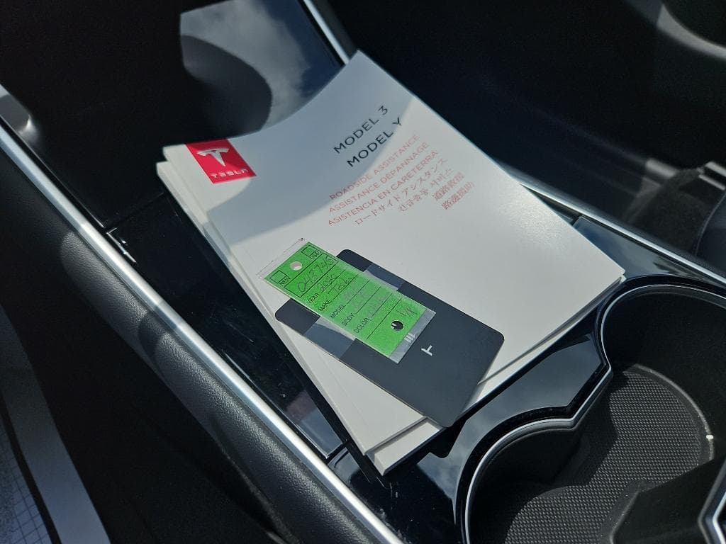 2020 Tesla Model Y view 15