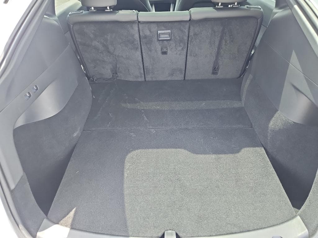 2020 Tesla Model Y view 18