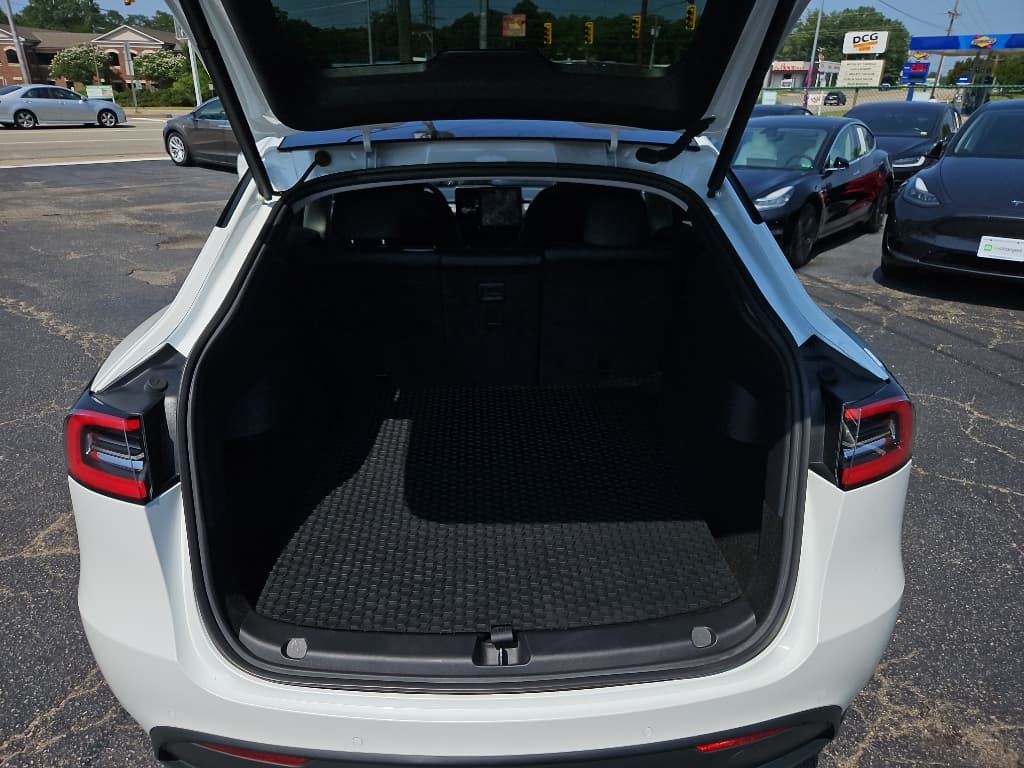 2020 Tesla Model Y view 20