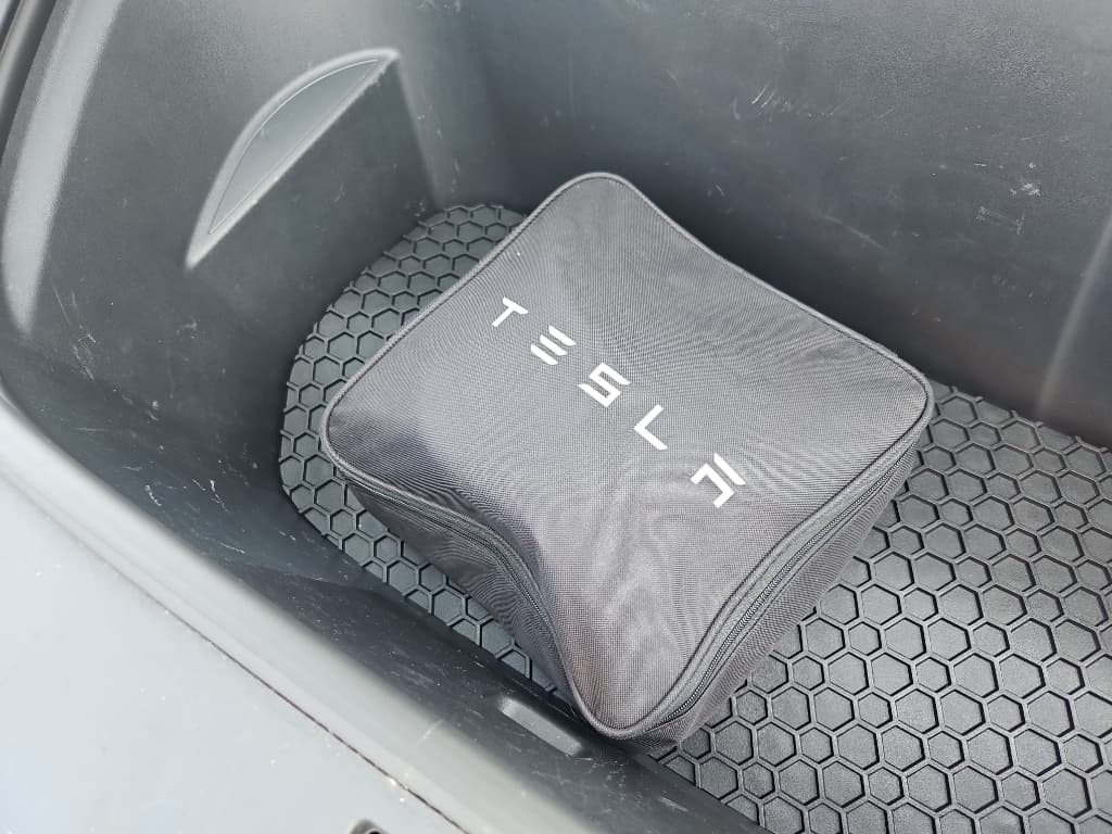 2020 Tesla Model Y view 6