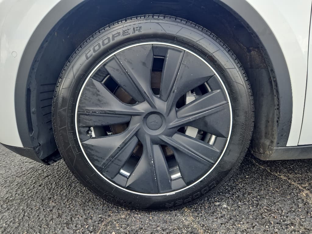 2020 Tesla Model Y view 22