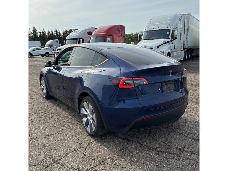 2020 Tesla Model Y view 4