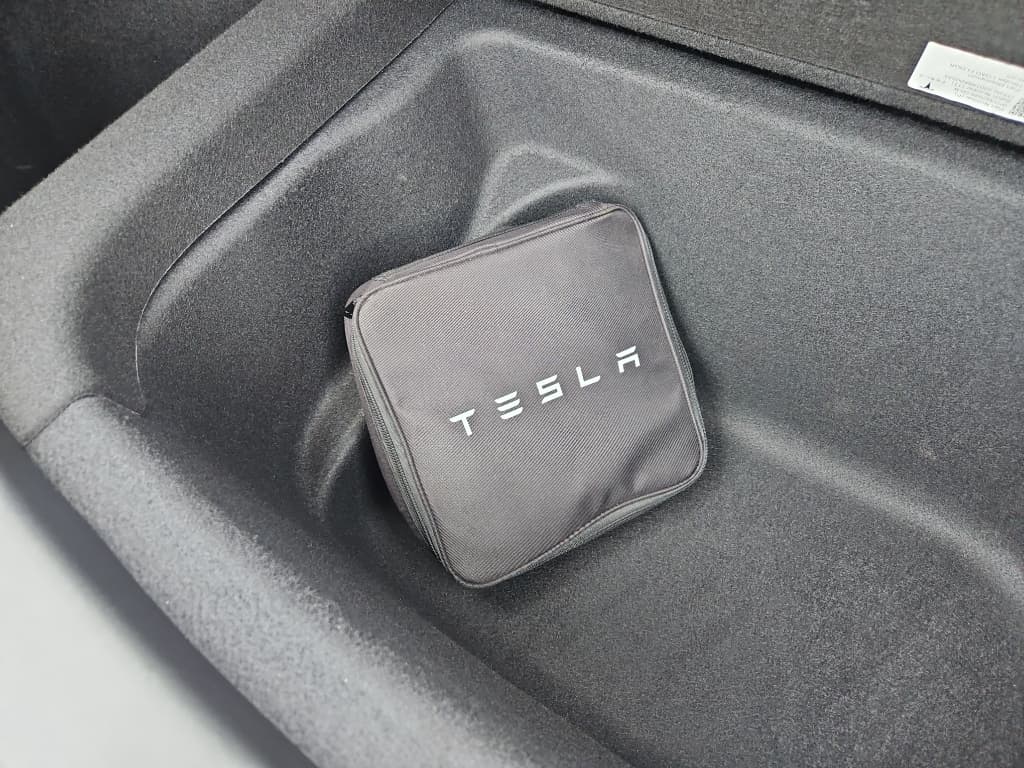 2020 Tesla Model Y view 6