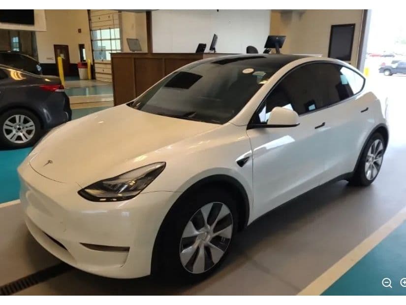 2020 Tesla Model Y