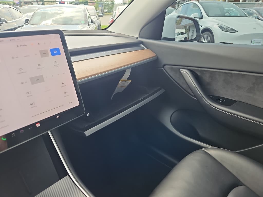 2020 Tesla Model Y view 14
