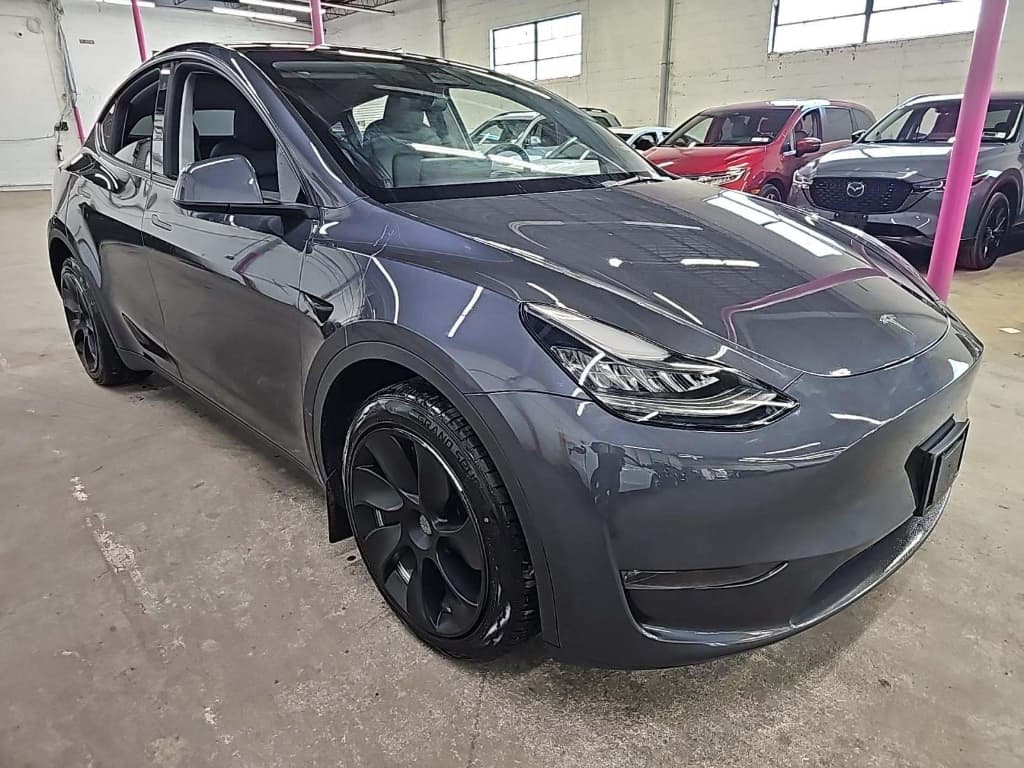 2023 Tesla Model Y view 4