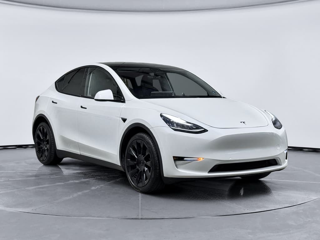 2020 Tesla Model Y view 4