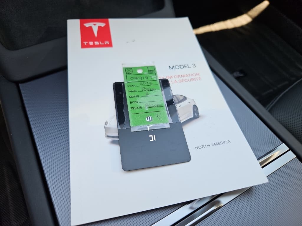 2025 Tesla Model 3 view 22