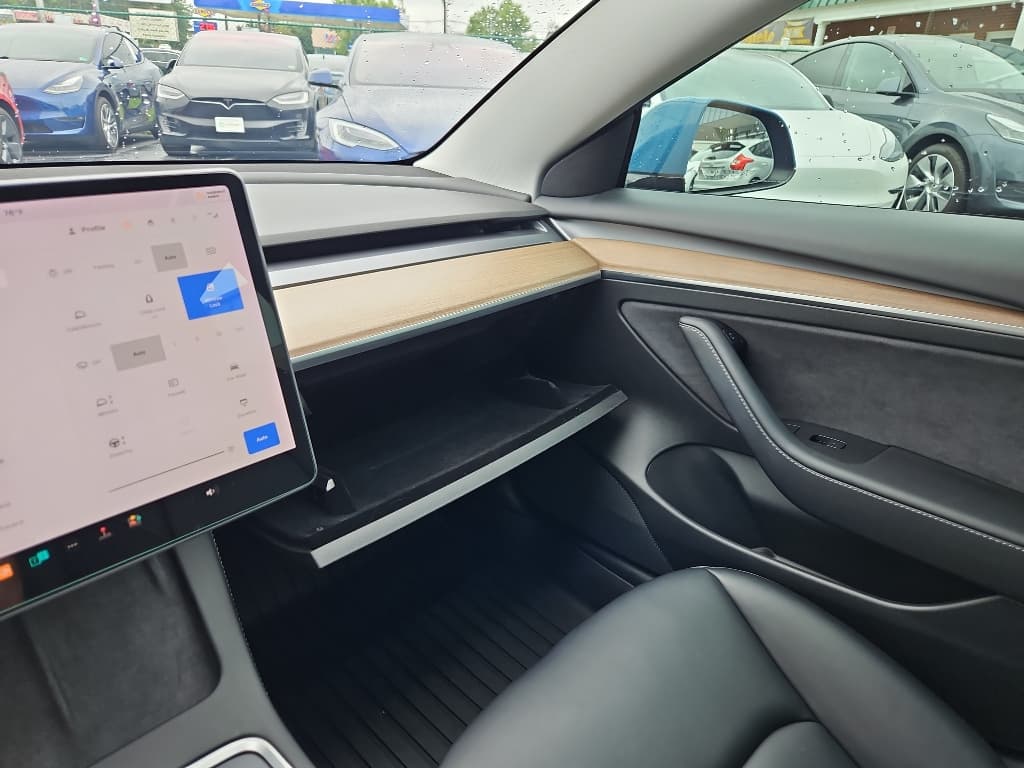 2021 Tesla Model 3 view 17