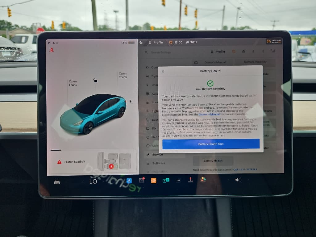 2021 Tesla Model 3 view 14