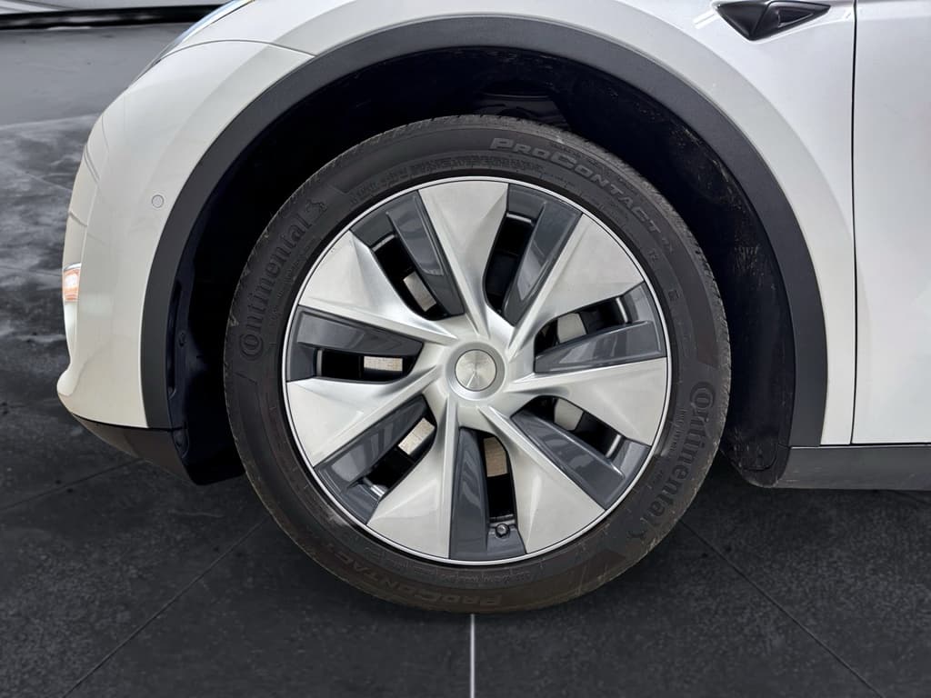 2020 Tesla Model Y view 29