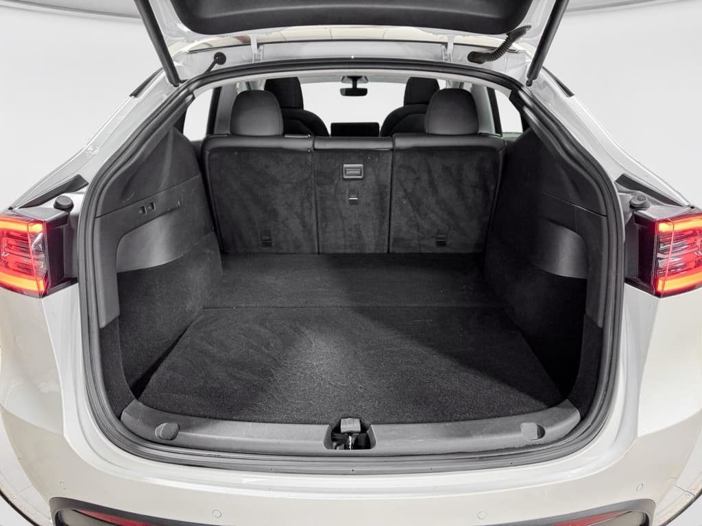 2020 Tesla Model Y view 25