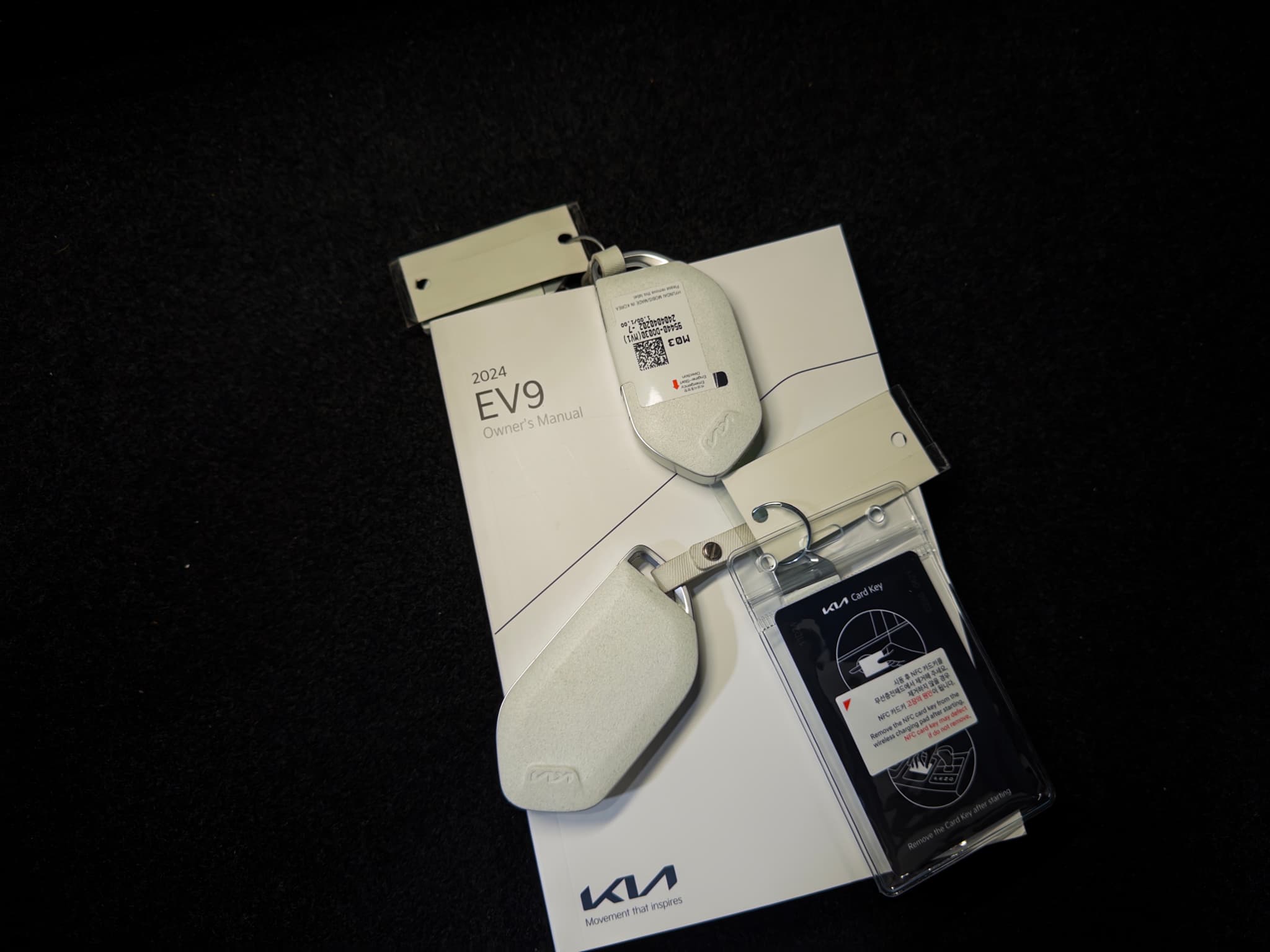 2024 Kia EV9 view 26